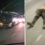 Acidente Entre Ônibus e Moto Deixa Uma Vítima Fatal na Madrugada desta Segunda-feir